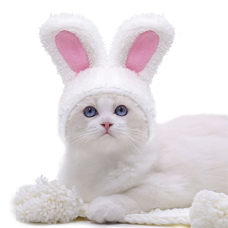 Cat Hat Bunny Rabbit Ears Headwear Kitty Cosplay Clothes Warm Costumes Dogs Kitten Party Costume Cute Adjustable Cat Accesorios: 1 Set