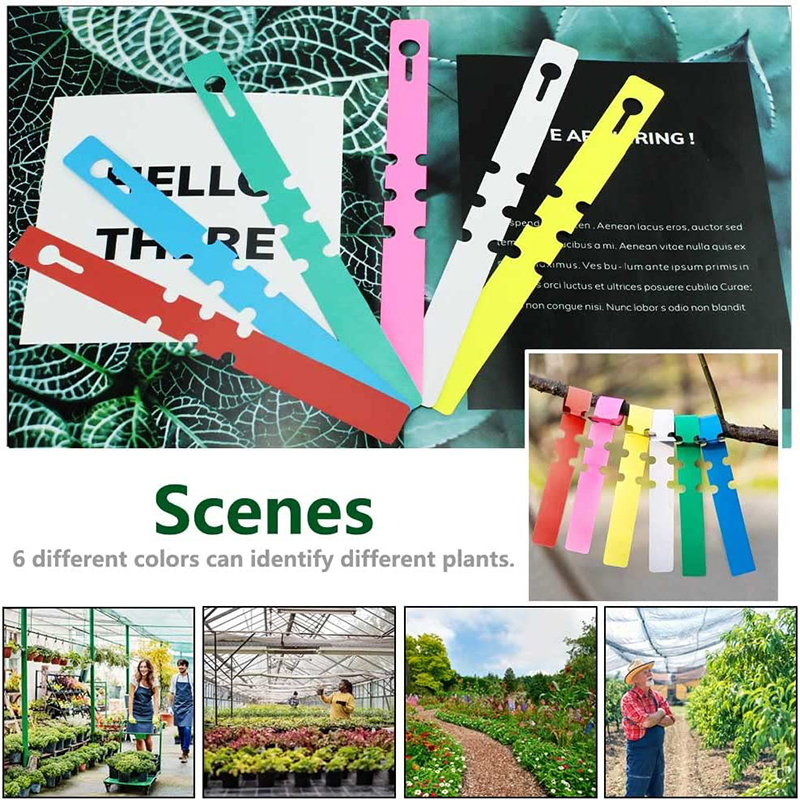 10 etichette da appendere per vivaio, etichette per vasi in plastica, etichette colorate per piante, marcatori impermeabili, piantine, piante in vaso, erbe aromatiche