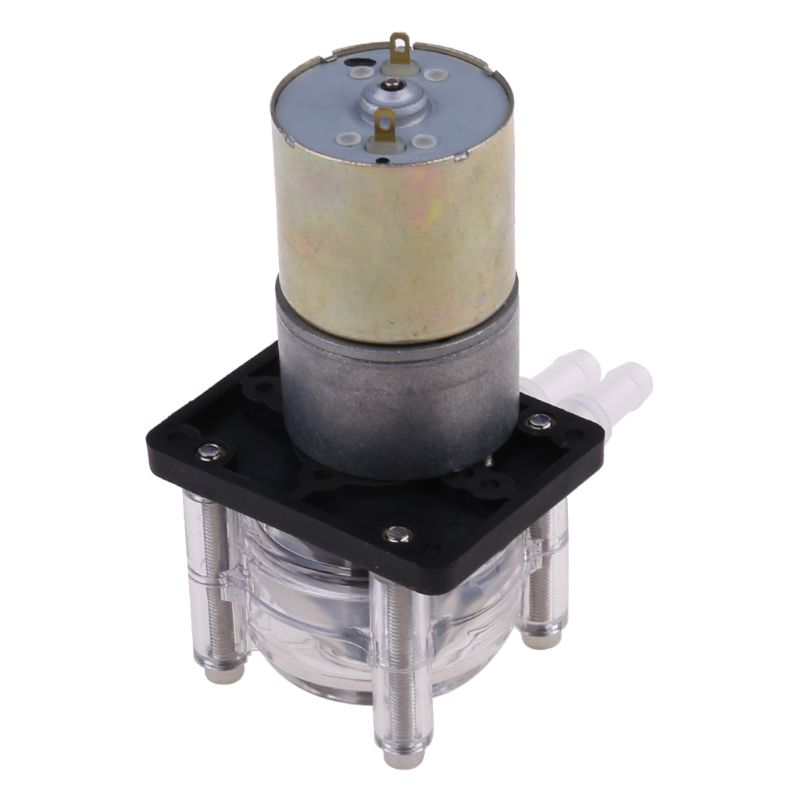 Pompe péristaltique DC 12/24V pompe doseuse à grand débit laboratoire d'aquarium sous vide analytique B85C