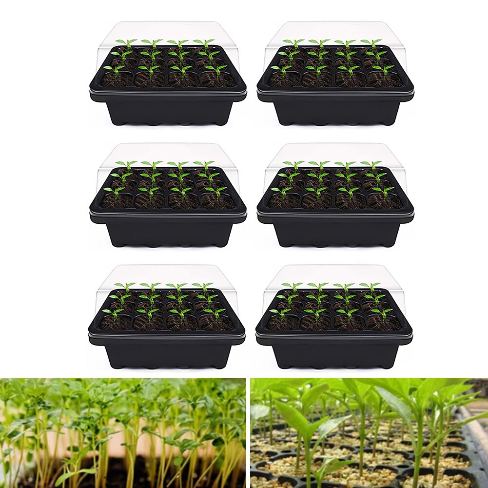 3/6PCS 12 Holes Plant Seed Grow Box Plastic Propagator Growing Trays With Lids For Garden Nursery Vegetable Fruit Planting