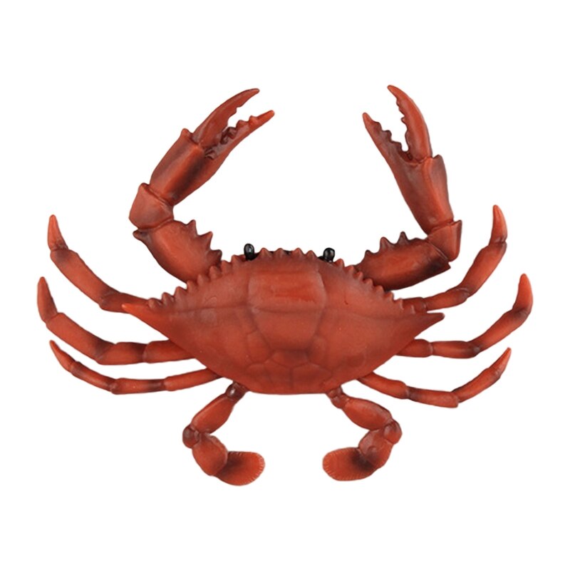 Sea Fish Miniature Statue Figurine that Looks Real Science Toy Students Reward: Red Shell Crab