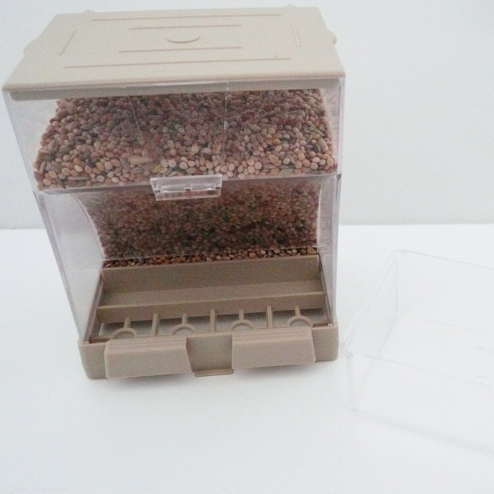 Bird Pet Seed Gravity Feeder Parrot Pigeon Splash Proof Bird Automatic Feeder Pet Automatic Feeder Automatic Food Container
