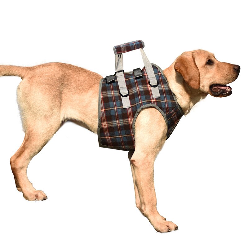 Einstellbare Hund Unterstützung Weste Harness für Zurück Beine für Medium Large Hund Alte Behinderte Joint Verletzungen Arthritis Lähmung Hunde Spaziergang