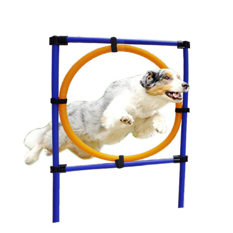 Puppy Outdoor Exercise Training Supplies Pet Sports Equipment Training Toys Dogs High Jump Outdoor Jumping Through a Circle: Default Title