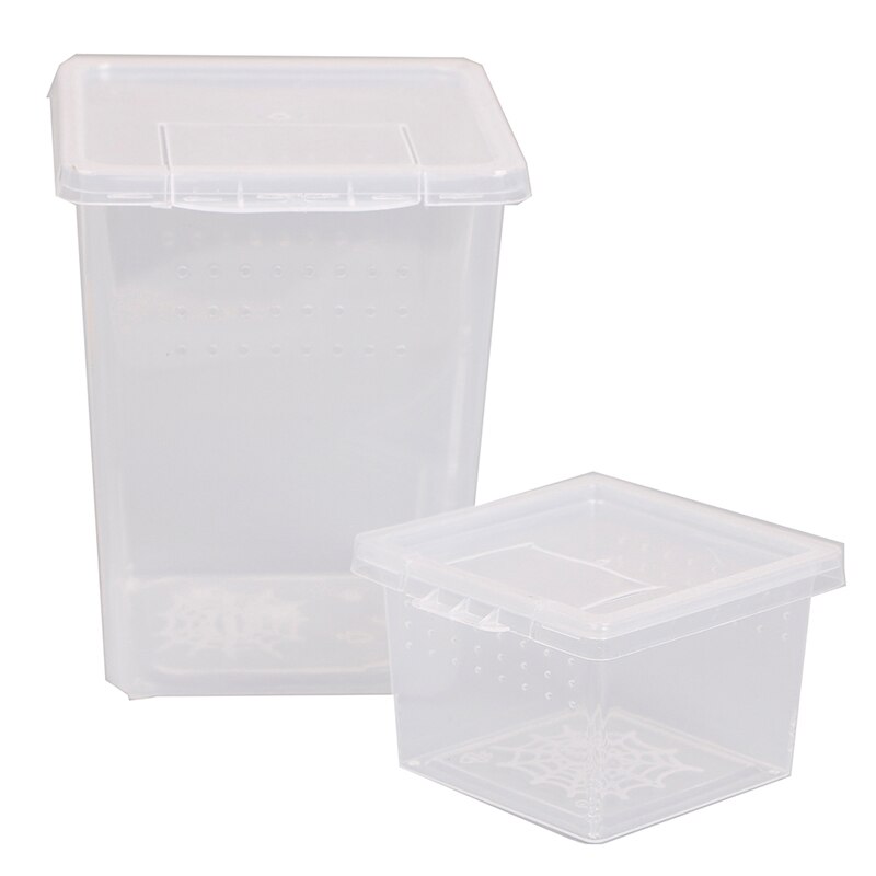 Plastic Insect Spider Habitat Feeding Box Case Container Tank Transport Case Hatching Tank !