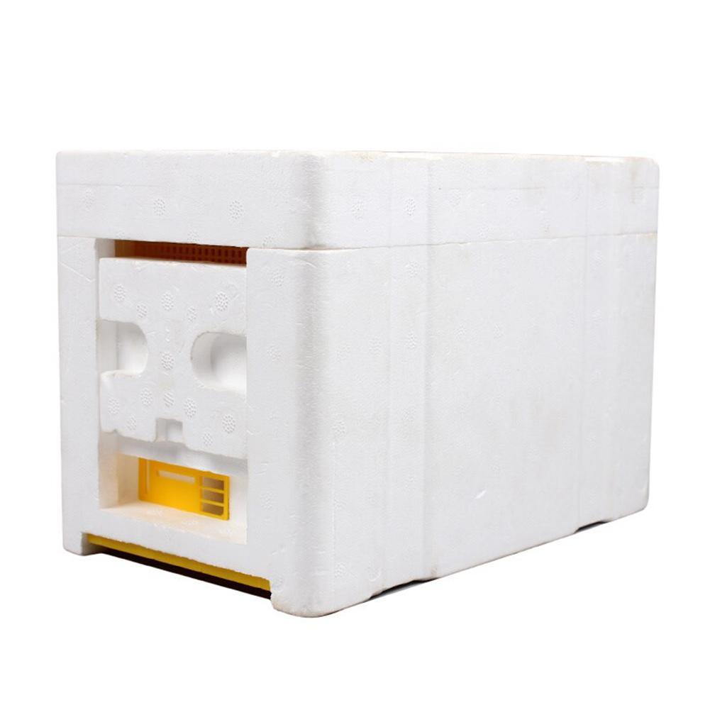 Casa caja colmena cosecha Bee Hive Bee mantener rey de la polinización de apicultura herramienta cosecha Bee Hive Bee reina de espuma caja de