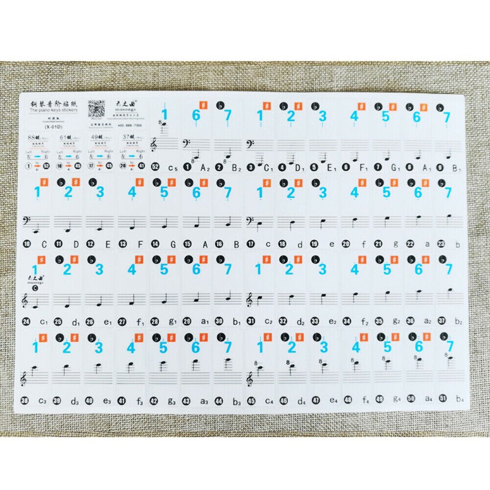 61/88 Key Piano Sticker Music Note Chart Keyboard Adhesive Finger Practice Stickers: B