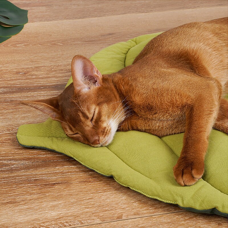 qing yun Ovaal hondenkussen bed groot, comfortabel, kalmerend XL hondenbed, medium wasbaar, zacht, warm hondenbed, krat, matraskussens voor honden katten (XL 95 x 75 cm