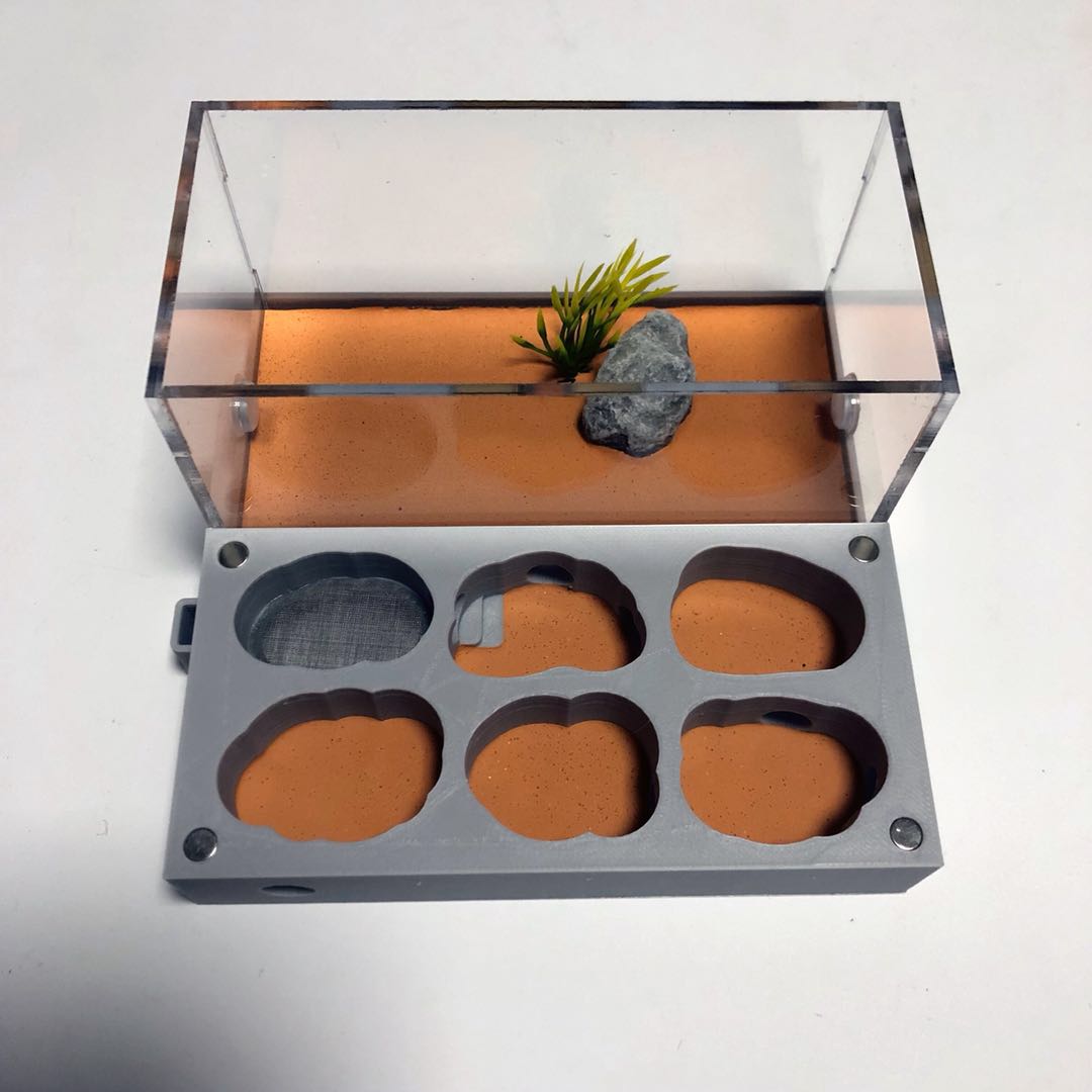 3D Nest Flat Nest Series Acrylic Ant Nest Concrete Nest Ant Workshop Ant Castle Ants Farm House: H