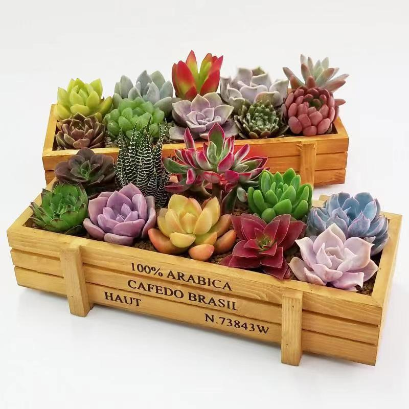 Maceta colorida, caja de madera Retro creativa, macetas, soporte para flores, cajas de troncos para comestibles, decoración de plantas suculentas, macetas