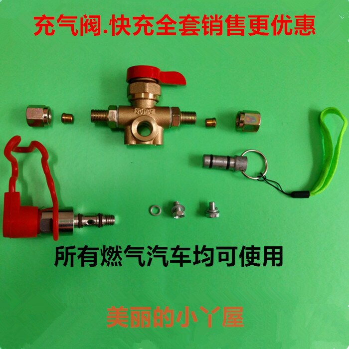 CNG Refuel Valve Filler Valve Methane NGV1 Filling Nozzle