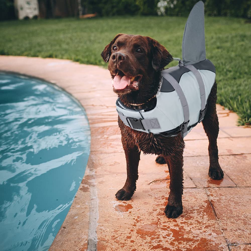 Gilet Da Nuoto Leggero Per Cani, Giubbotto Salva Vita In Neoprene - 7