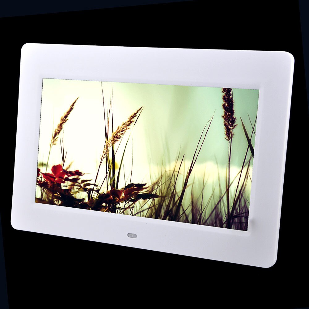 Liedao marco de fotos Digital de 10 pulgadas pantalla LED retroiluminación HD álbum electrónico foto de música vídeo porta retrato digital: White / Enchufe estadounidense