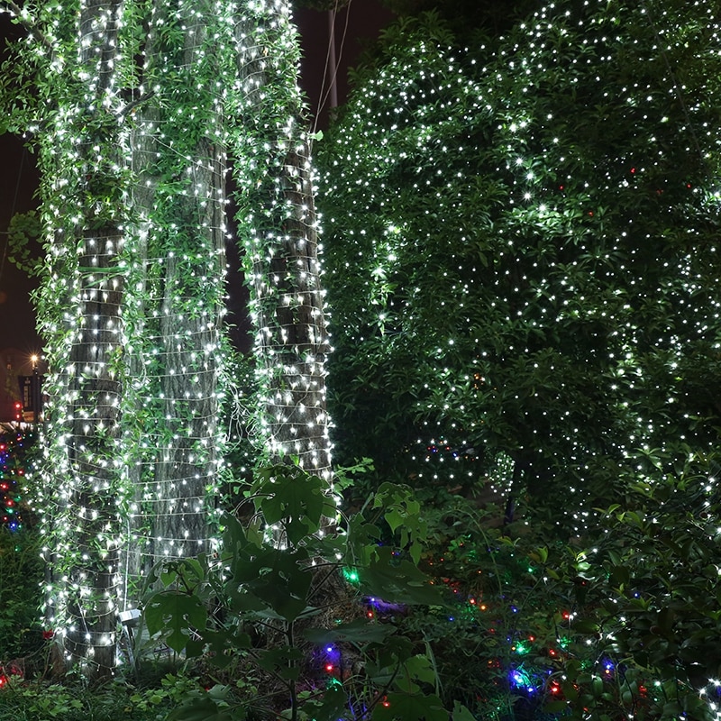 Wonlukiy String Light 3M x 2M 204 LEDS Warm White Blue Multi-color Outdoor 110V/220V US/EU Plug Waterproof LED Net Light Weeding