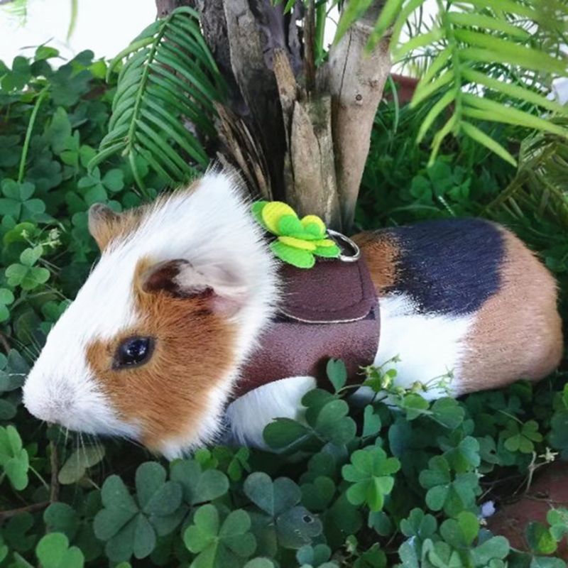 impostato di guinzagli regolabili per gilet di criceto per cavia cincillà topi ratto furetto accessori per piccoli animali