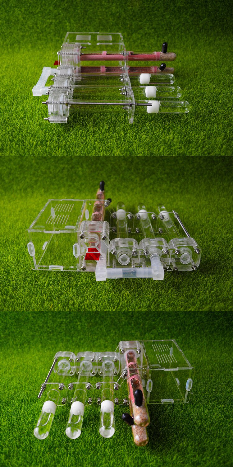 connecting glass tube moisturing breeding ant nest,Side layered type bamboo test tube ant farm ant formicarium