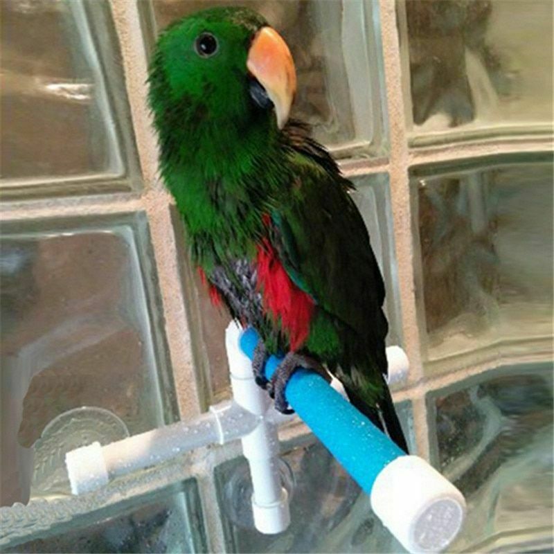 Estante para loros, ducha de baño grande para aves, juguetes de plástico de pie, jaula para mascotas, accesorios