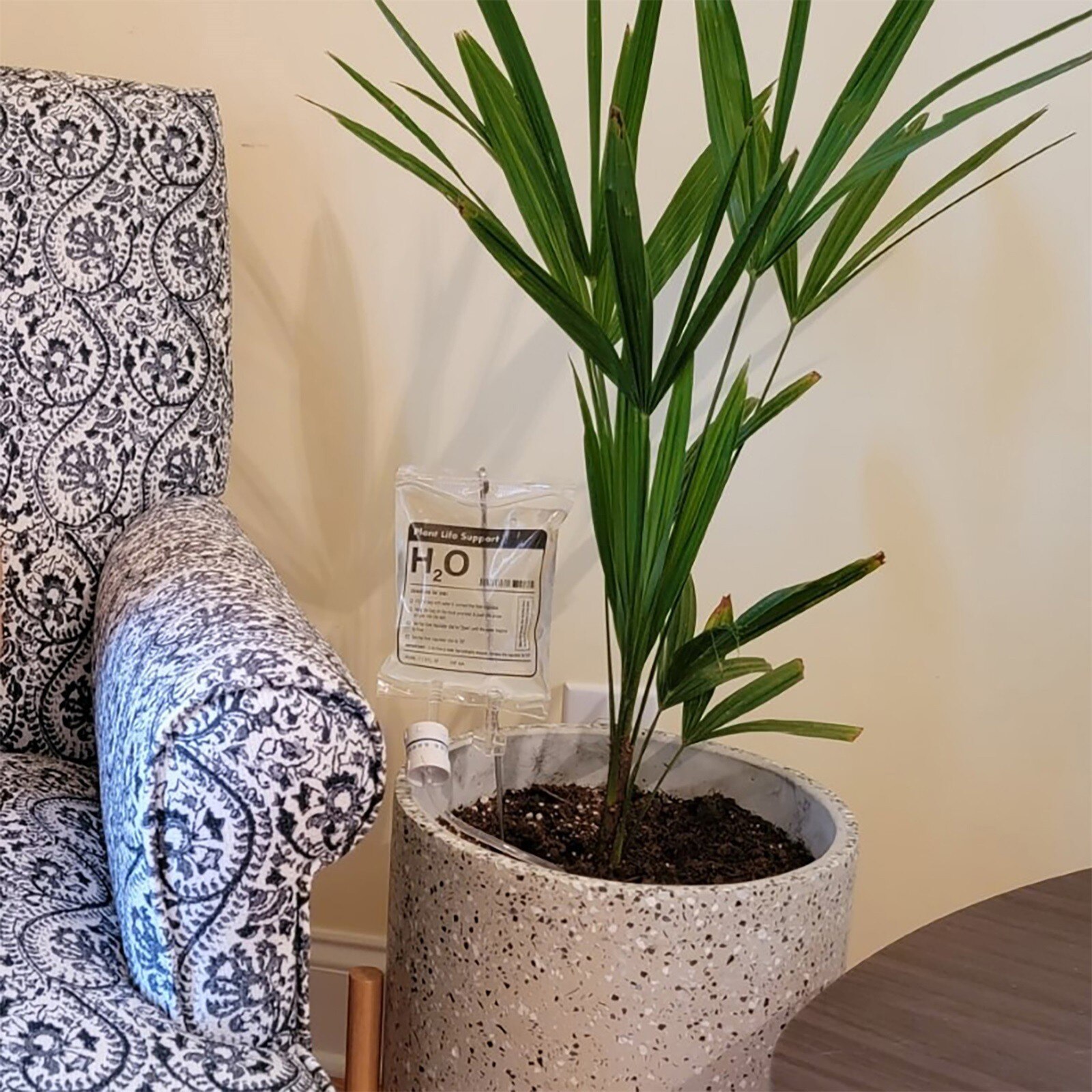 25 # Plant Life Ondersteuning Druppelirrigatie Plant Automatische Bevloeiing Planten Bloem Waterers Fles Drip Irrigatie Watering