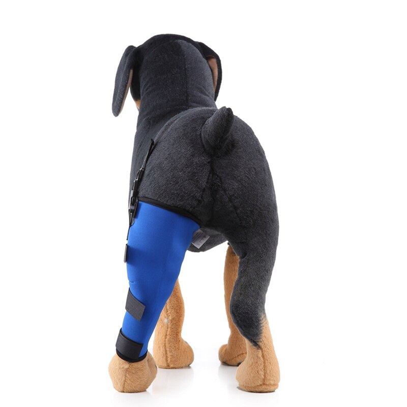 Hund Welpen Bein befestigen Ellenbogen Schutz Hund Hinten Bein Klammer Eckzahn Hinten Sprunggelenk wickelt Nach Betrieb Erholung