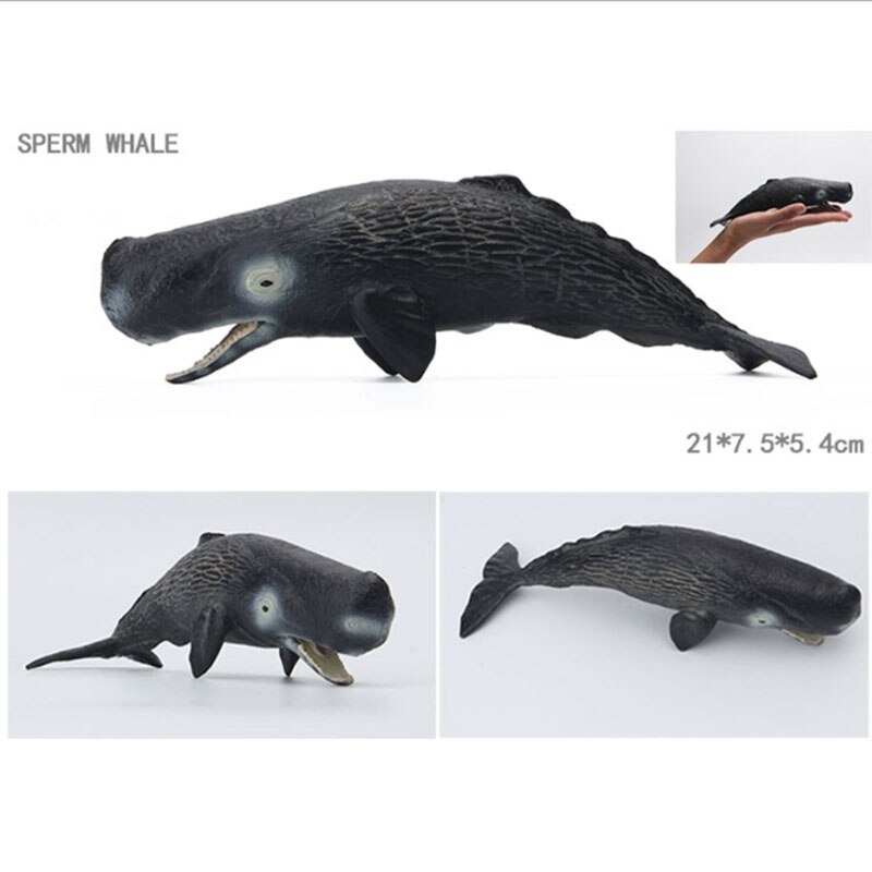 Educational toys for children simulated animal ocean great white shark seabed creatures girls toys for kids school learning: Sperm whale