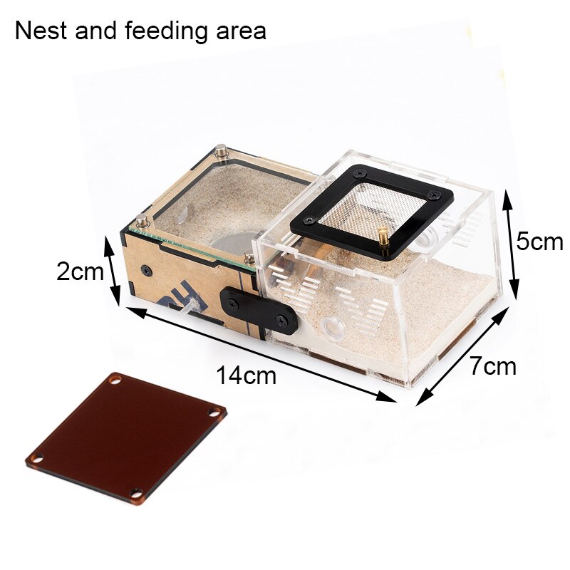 Unlimited Expansion Ant Farm House with Feeding Area Concrete Ants Nest Anthill Workshop Queen Ant House Village Moisturizing: Nest and feed area