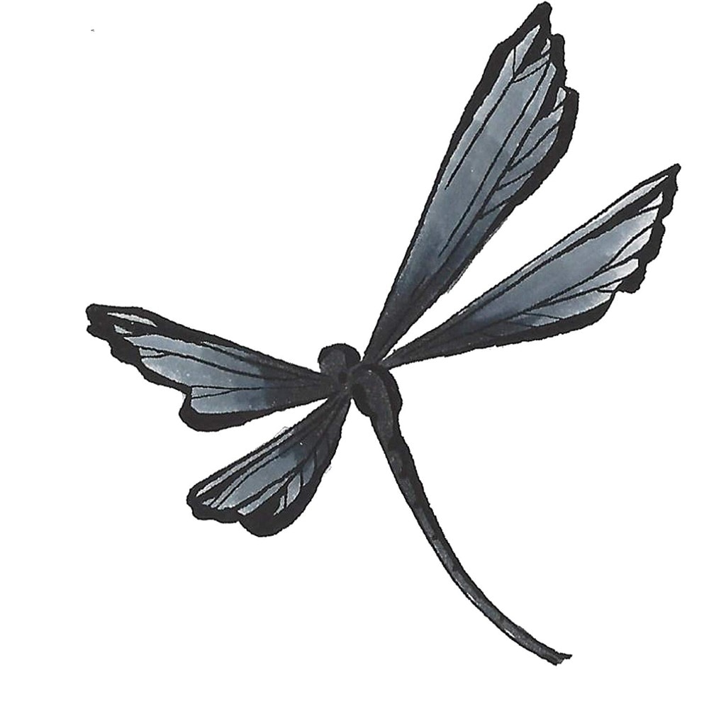 Tombow ABT Dual Brush Pen Art Marker N15 Black 1pc Blendable Brush and Fine Tip Marker Pen For Letting Drawing Writing