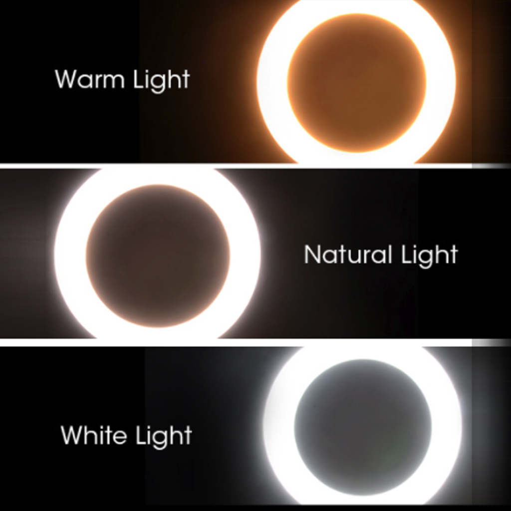 16/26cm Photography LED Selfie Ring Light three-speed Stepless Lighting Dimmable With Cradle Head For Makeup Video Live Studio