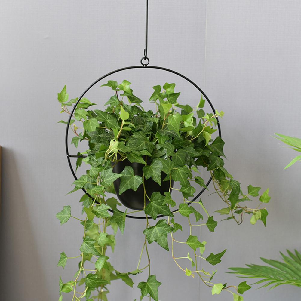 Succulent Hanging Planter  Sturdy Iron Detachable Chain Flower Hanging Pot for Garden 