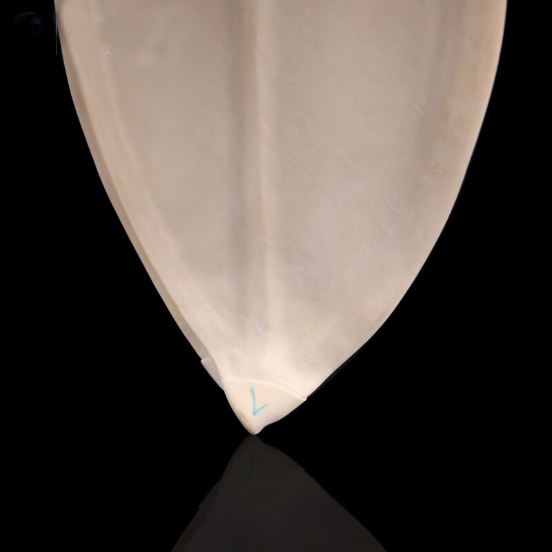 #5#7 Gas sampling bag Rubber Laner Tubes Gas Sampling Bladder