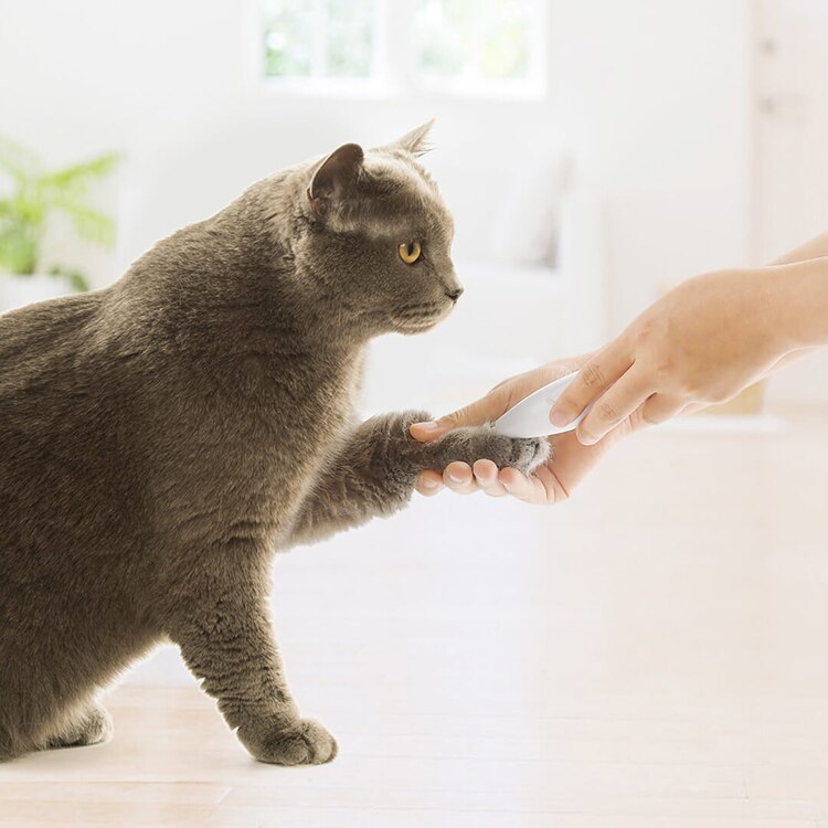Xiaomi-Herramienta de aseo para mascotas Pawbby Original, cortadora eléctrica para perros, afeitadora Local, cortadora de pelo para gatos, afeitadora para patas