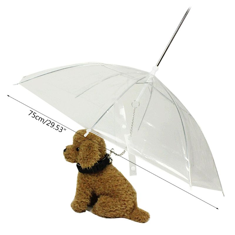 Sombrilla portátil transparente para pasear con perros pequeños, gatos y mascotas, con cadena, para mantener la sequedad bajo la lluvia, herramienta de engranajes para exteriores