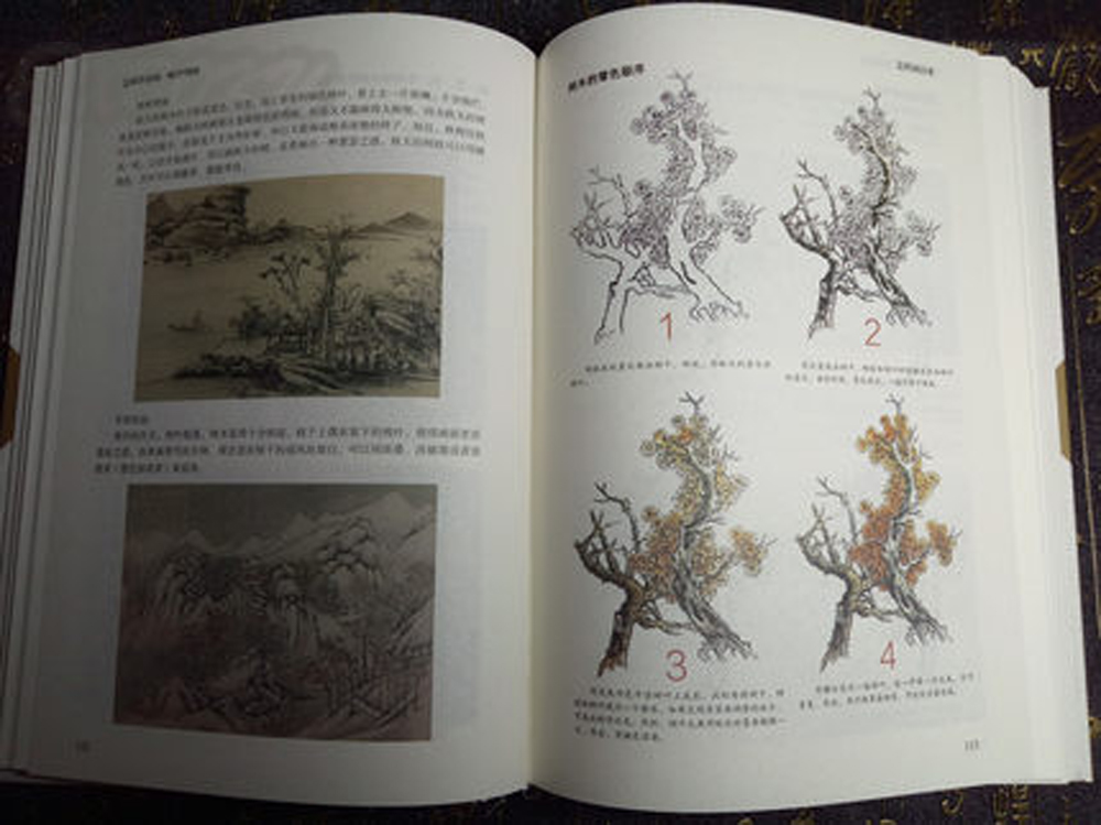 Chinese basic drawing book How to Learn to Draw a Chinese Painting skills for landscape flowers fruits