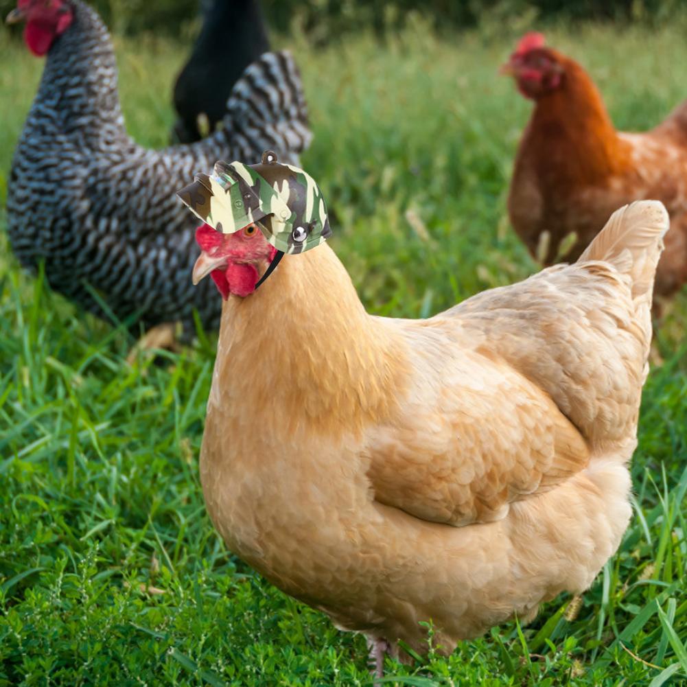 Pet Helmet Funny Chicken Helmet Head Protection Compact Chicken Hen Ducks Birds Hard Hat Bird Hat Hood