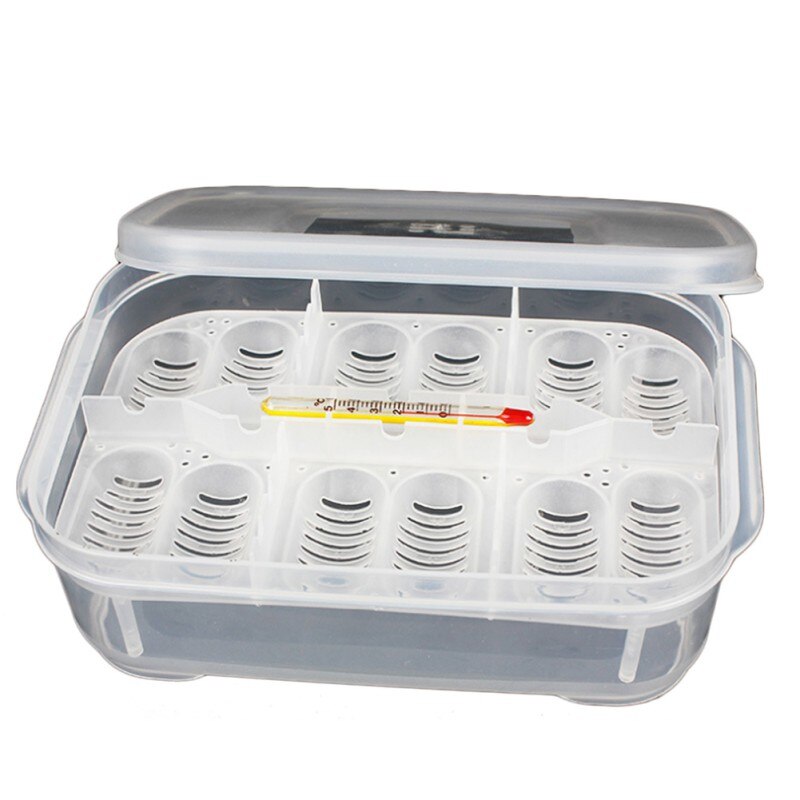 12 agujeros portátil incubadora de huevos para reptiles caja de cría para incubar lagartija Gecko serpiente caso anfibios contenedor caja con termómetro