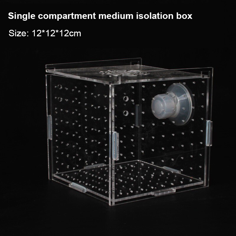 Caja transparente para acuario, bandeja pequeña para pecera, caja de producción, aislamiento de rejilla múltiple simple y doble: m