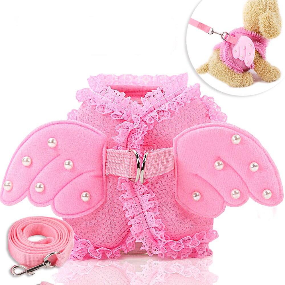 Franse Bulldog Hond En Kat Kant Ademend Jarretel Chihuahua Yorkshire Terrier Outdoor Riem: XL