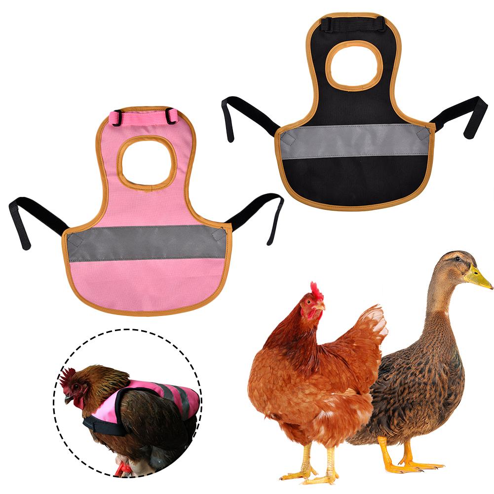 Ropa de Mascota para aves de corral, delantal de sillín, soporte de protección de plumas para pollo y pato,