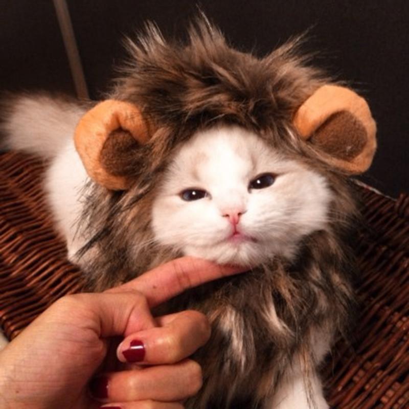 Funny Cute Pet Cat Costume Lion Mane Hair Cap Hat For Cat Dog Halloween Christmas Clothes Fancy Dress With Ears Cat Costumes
