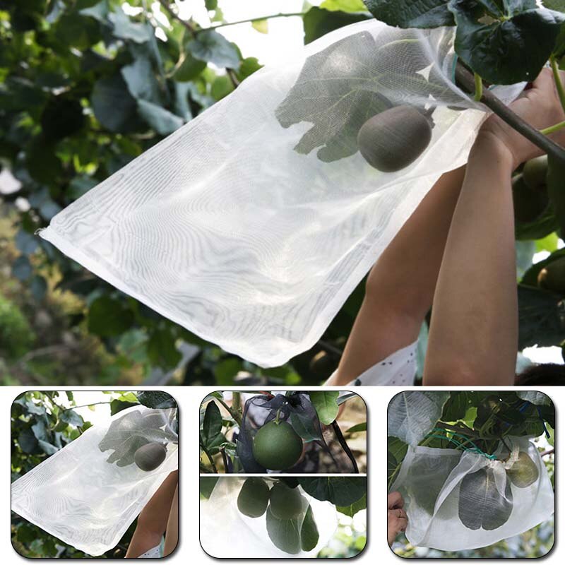 Sac de culture Anti-oiseau plante sac de Protection cordon Nylon maille lutte antiparasitaire agricole