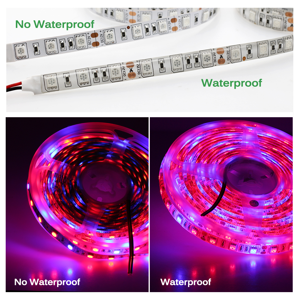 Plant Grow Light Strip Full Spectrum Phytolamp 5m LED Strip Lamp for Plants Flowers Dimmable Phyto Tape for Greenhouse Grow Tent