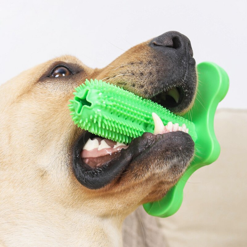 Hond Tandenborstel Speelgoed Voor Honden Interactieve Feeder Speelgoed Training Iq Tanden Reinigen Kleine Medium Grote Hond Puppy Kauwen PT032