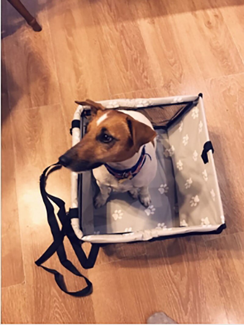 Travel Pet Dog Car Carrier Seat Bag for dogs in the car Safety Pet Transport print paw Car Folding Hammock autogamic for dogs
