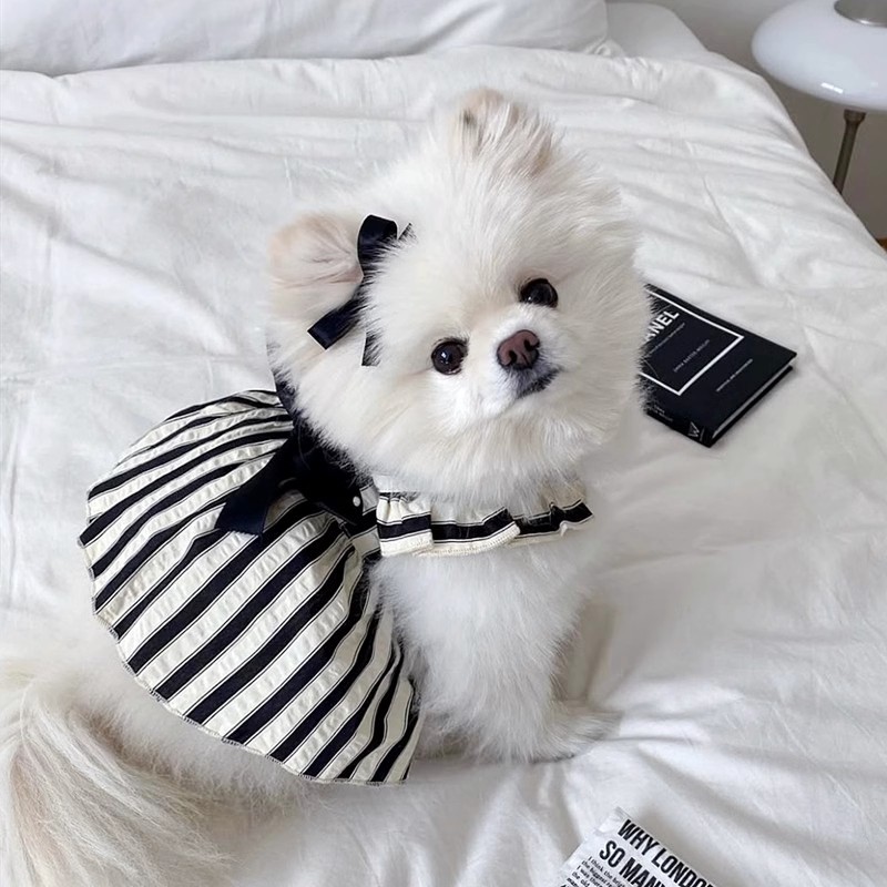 Vestido de princesa con lazo para perro, ropa de verano para perro, falda a rayas de lujo en blanco y negro, chaleco para perro, ropa para perros Chihuahua Bichon Yorkie