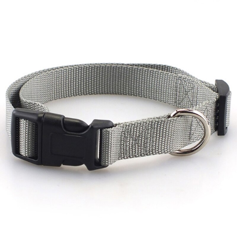 Klassiskt solid hundhalsband för hundar i nylon för små medelstora hundar kan matcha koppel och sele med snabbsnäppspänne: S 1.6cm / Grå krage
