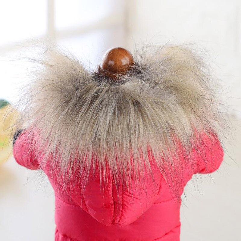Winterkleding voor honden, warme puppy-hoodie met bontkraag, kleding voor kleine en grote honden, chihuahua, teddybeerkostuum voor katten, maat xs, s, m, xl
