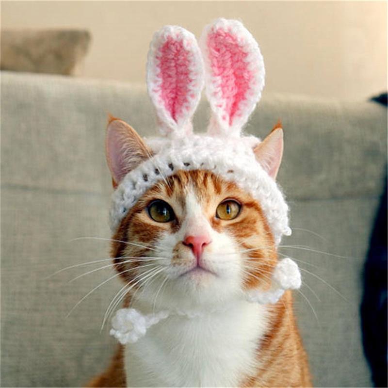 Easter Cat Hat Cute Cartoon Rabbit Ear Costume Hat Cosplay Hat Cat Headwear