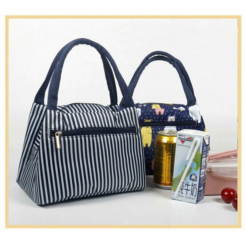 Adults Women Girls Portable Insulated Lunch Bag Box Picnic Waterproof Tote