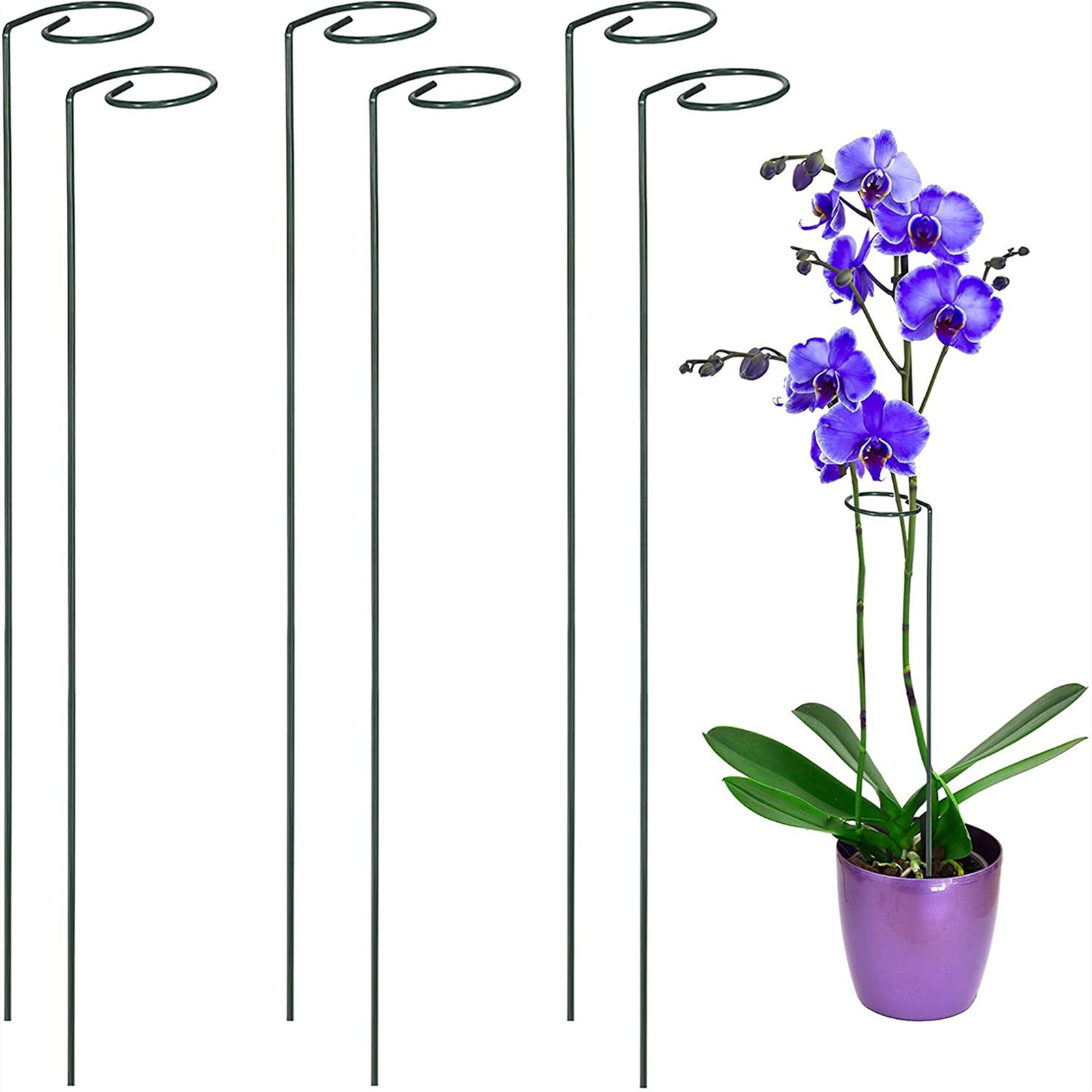 5/10 Stück Gartenstütze Pfahlring Metall Gartenpflanze unterstützt Einzelstamm Strauchhalter für Pflanzen Rose Blumen Gemüse Rebe