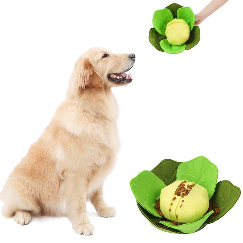 Huisdier Kool Snuffle Mat Hond Foeragerend Mat Training Slow Food Hond Kom Puzzel Speelgoed