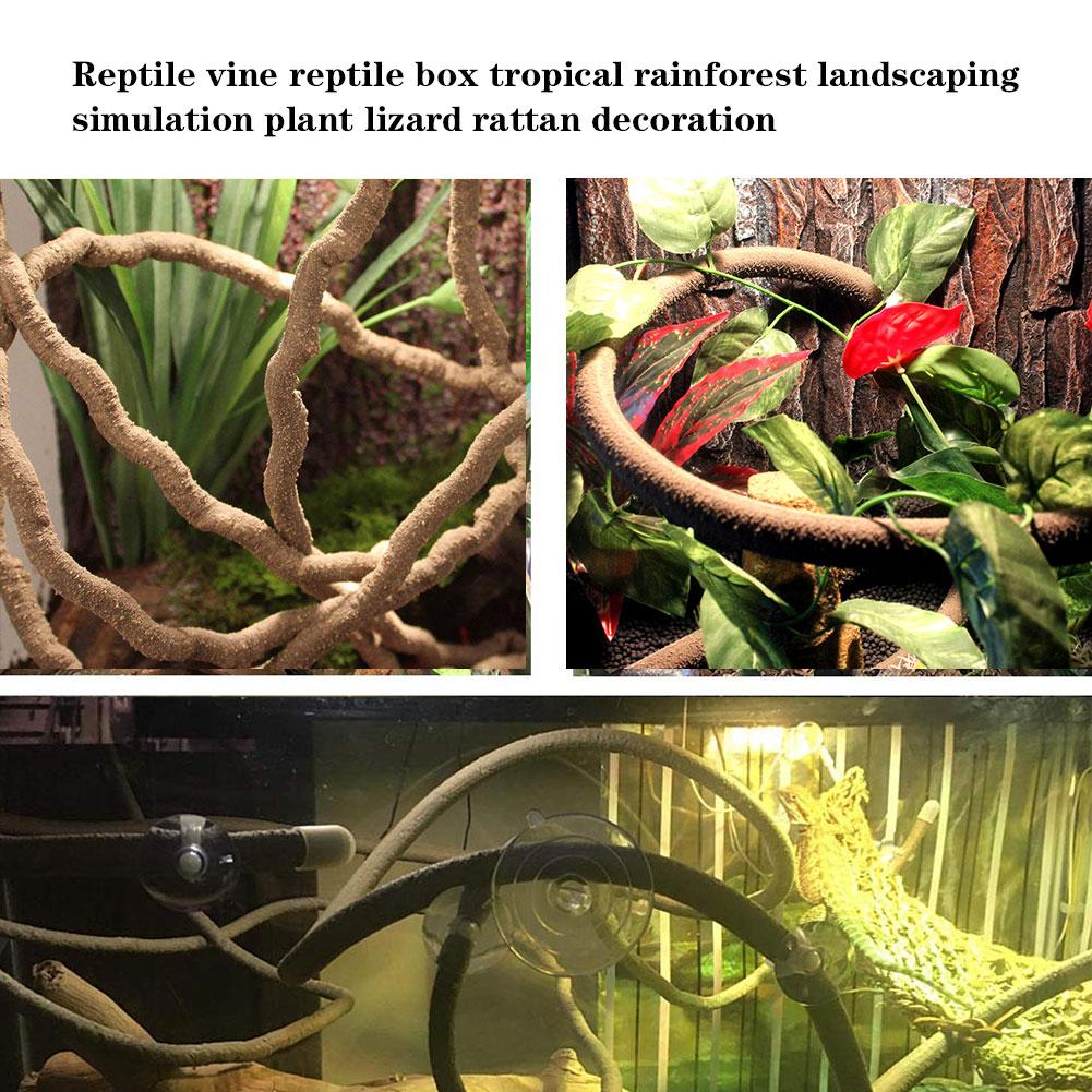 Reptil habitat dekor øgle kameleon krypdyr boks tr... – Grandado, image size:1001x1001